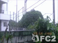 動画:台風24号パート2.mp4