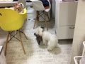 涼しい顔の桃③ 涼しい顔の桃③