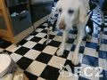 maru~おいで♪